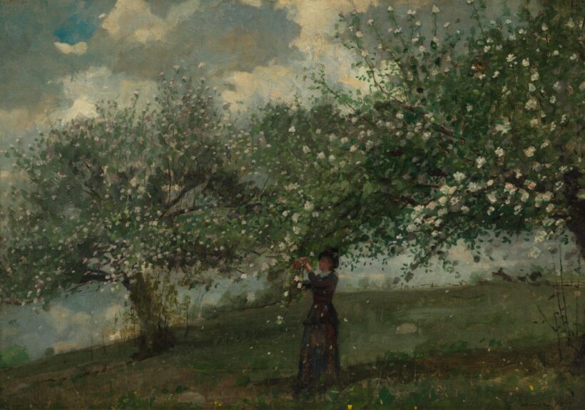 Winslow Homer's painting, Girl Picking Apple Blossoms