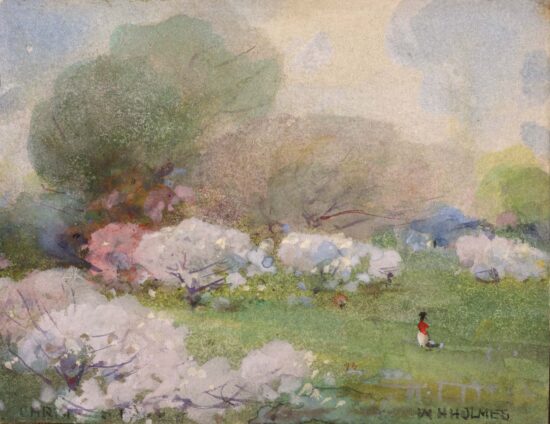 Cherry Blossoms by William Henry Holmes