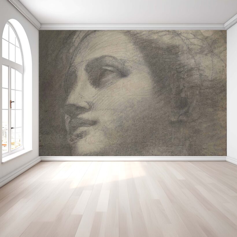 A Jitterbug wallpaper mural of Head of a woman by Annibale Carracci