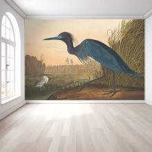 A Jitterbug wallpaper mural of Blue Crane or Heron by Robert Havell, Jr. hangs on a wall.