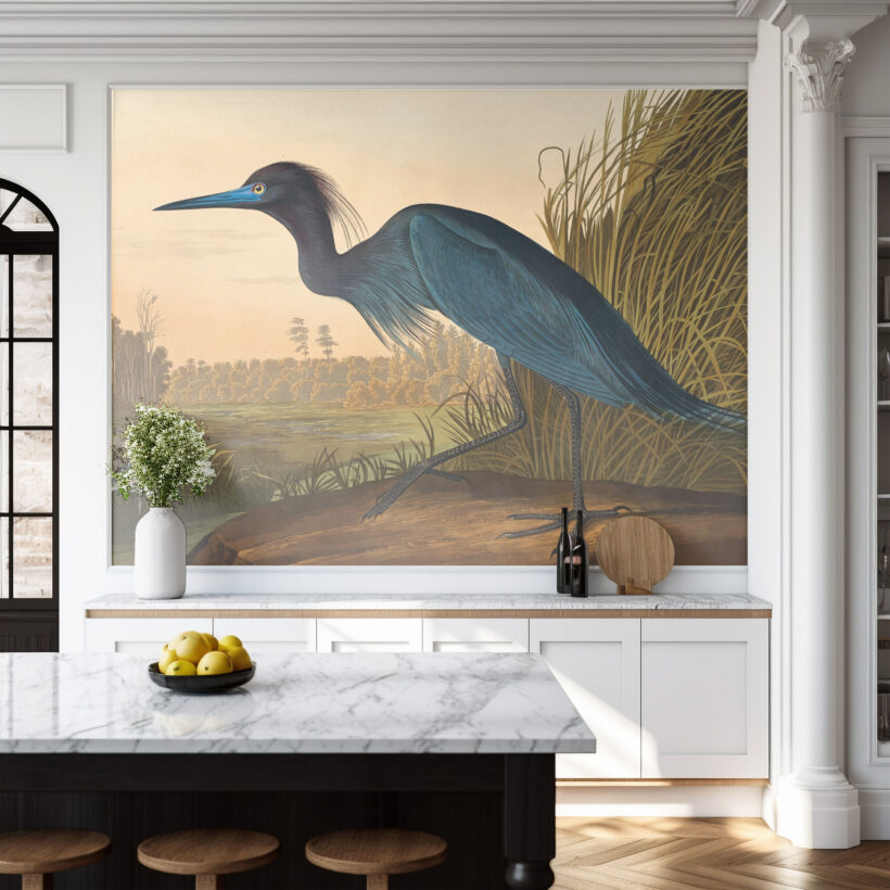 A Jitterbug wallpaper mural of Blue Crane or Heron by Robert Havell, Jr. hangs on a wall.